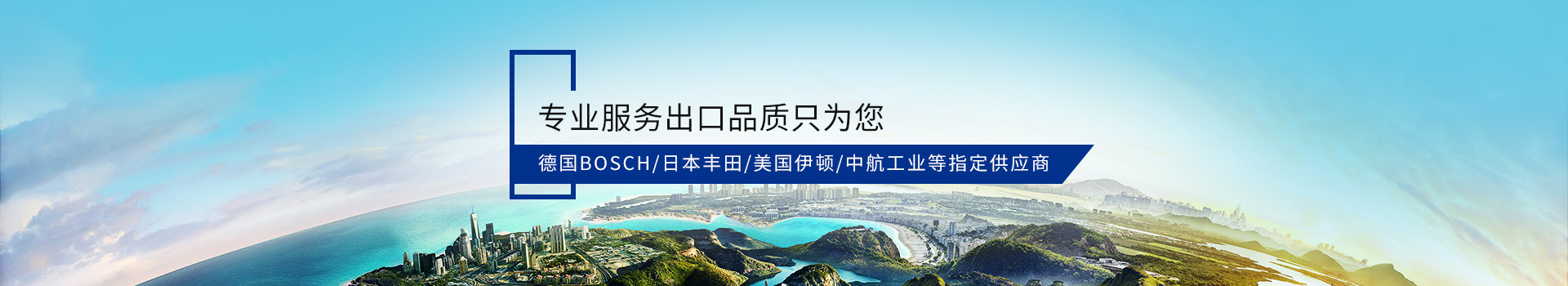德國(guó)BOSCH/日本豐田/美國(guó)伊頓/中航工業(yè)等指定供應(yīng)商 專業(yè)服務(wù)出口品質(zhì)只為您！